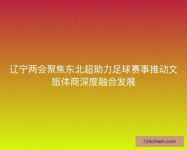 辽宁两会聚焦东北超助力足球赛事推动文旅体商深度融合发展