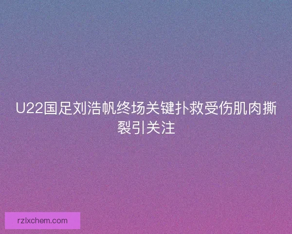 U22国足刘浩帆终场关键扑救受伤肌肉撕裂引关注
