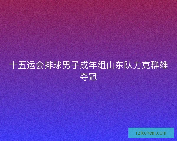 十五运会排球男子成年组山东队力克群雄夺冠